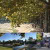 Frankreich immer eine Reise wert! Genuss + Wein in Sud de France, Vignobles in Reims morgens in Montpellier