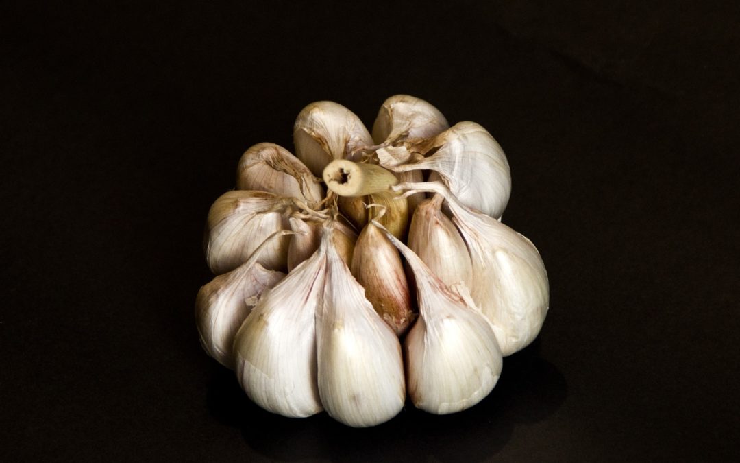 Knoblauch und Pešt