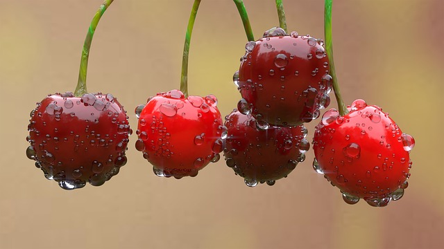 Kirschen – rot, verführerisch, eine Sünde wert …