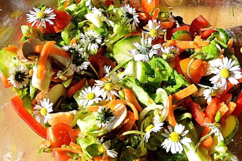Mein ICHLIEBEMEINENGARTEN Salat GenussTouren