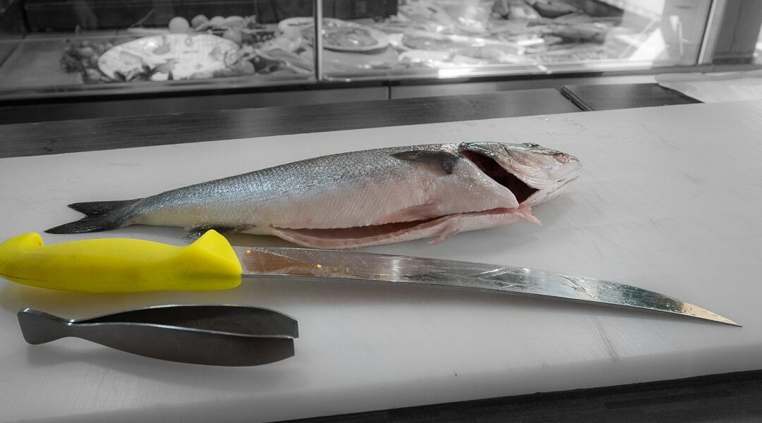 rohen Fisch filetieren leicht gemacht!