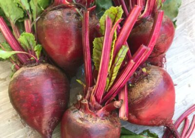 vegetarische Josefstadt - frisches Obst und Gemüse