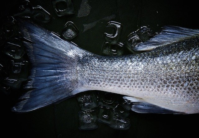 gesundes Essen - Fisch