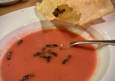 Insekten - Rote Rübecremesuppe mit Kren-Mehlwurm-Crisp