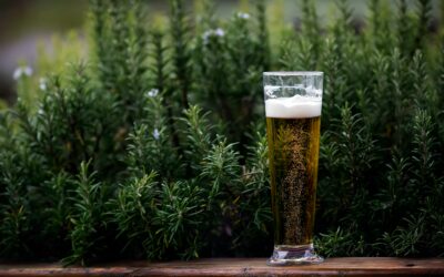 Gesundheit! …und Bier? Ein Blick ins Glas