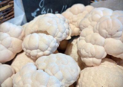 Marktraum - Hut & Schanze Igelstachelbart