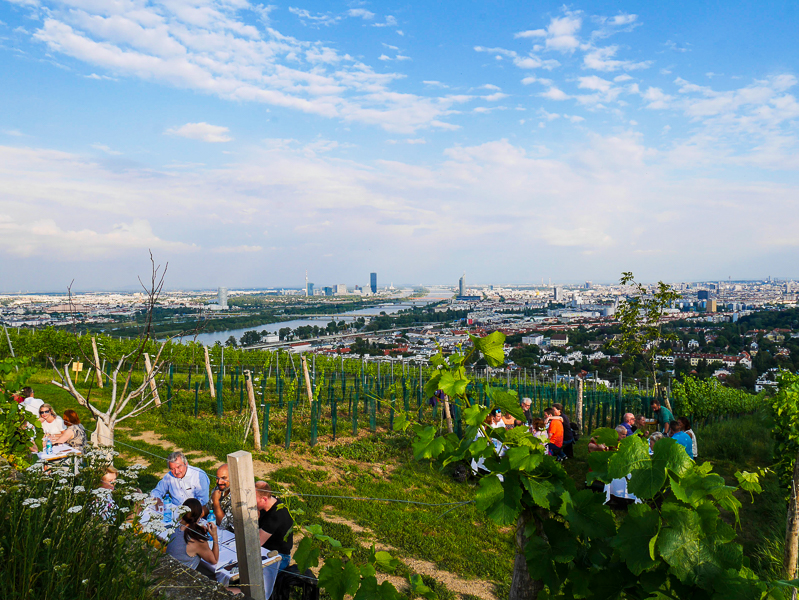 Wiener Wein – die Hauptstadt, die im Glas funkelt
